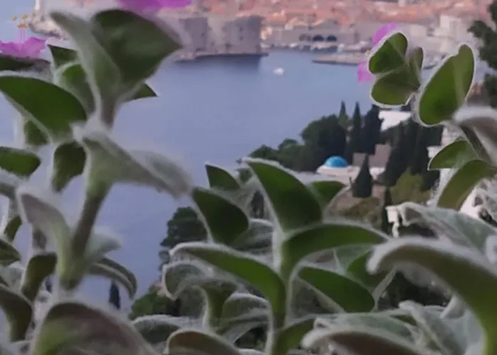 Charming With Terrace And Old Town View Ντουμπρόβνικ