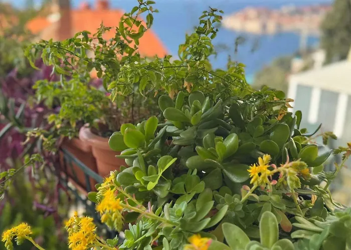 Charming With Terrace And Old Town View