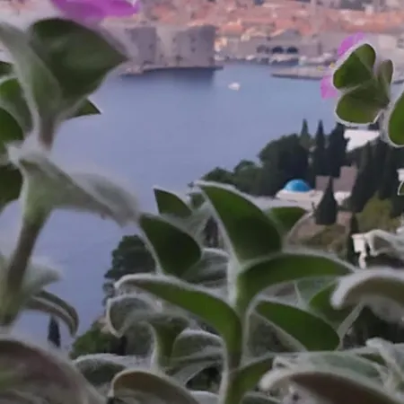 Charming With Terrace And Old Town View Dubrovnik