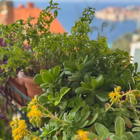 Charming With Terrace And Old Town View